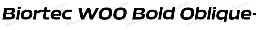 Biortec W00 Bold Oblique字体转换